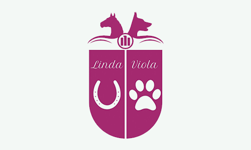 Allianz Linda Viola Sponsor OSI 2025