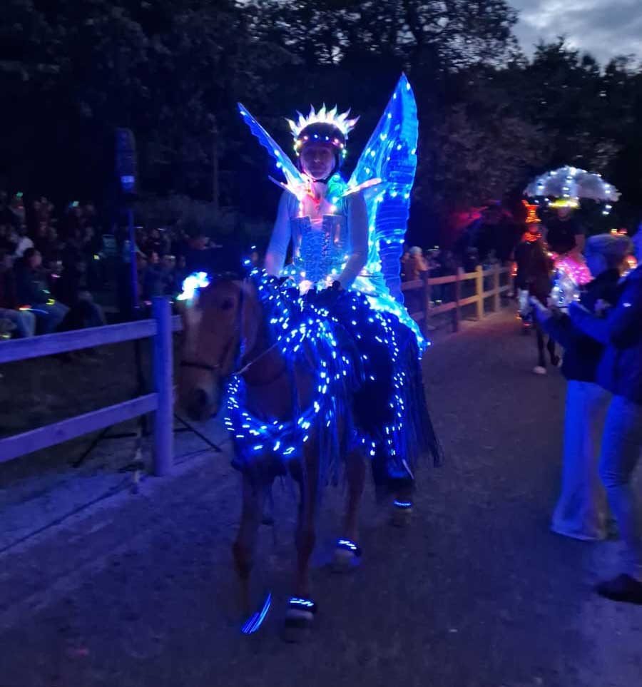 Mitternachtstölt-Kostümpreis Siegerin