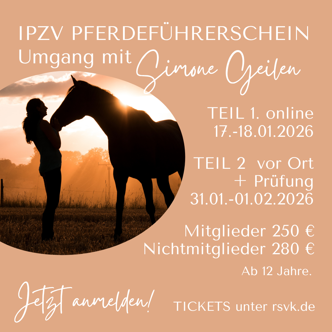Pferdeführerschein RSVK mit Simone Geilen 2026