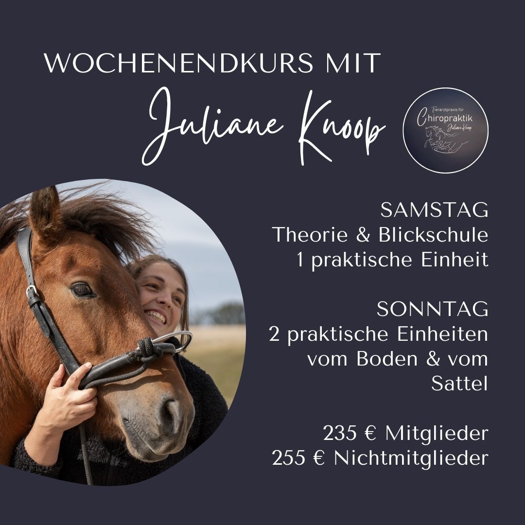 Juliane Knoop Wochenendkurs biotensegrales Training